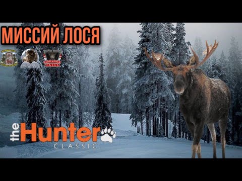Видео: The Hunter Classic Лось охота! Выполняем миссий! помощь новичкам!