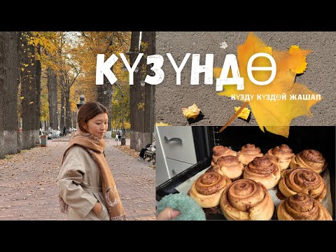Видео: Жөнөкөй күндөргө боек берүү