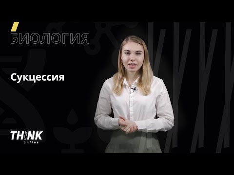 Видео: Сукцессия | Биология