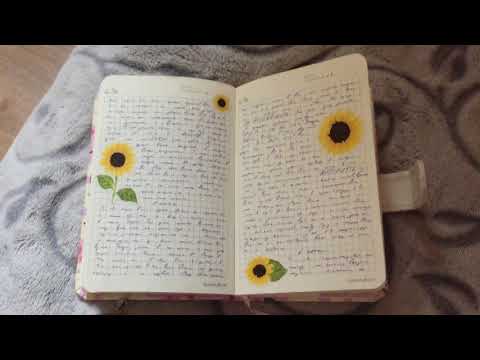 Видео: личный дневник Набоковой