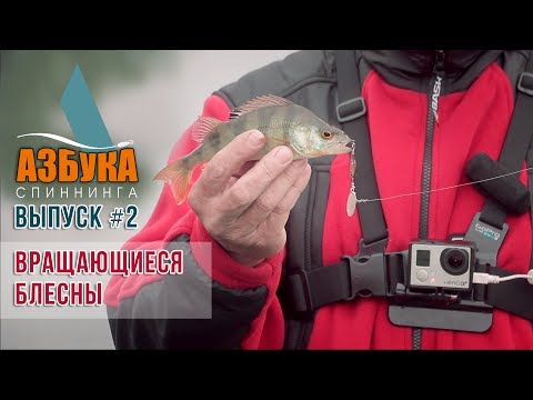 Видео: Спиннинг для новичка. Ловля на вращающиеся блесны