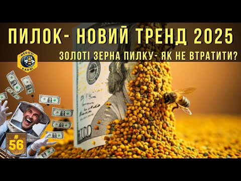 Видео: Чому варто збирати пилок і як це шкодить бджолам?