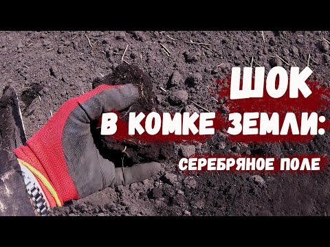 Видео: Коп с Квазар АРМ 2021! ШОК В КОМКЕ ЗЕМЛИ: серебряное поле. Коп с #КвазарАРМ 2021.