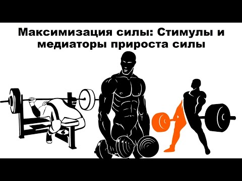 Видео: лекция: Максимизация силы: Стимулы и медиаторы прироста силы