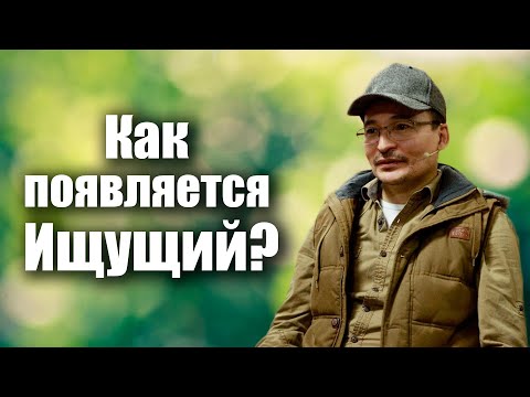 Видео: Алгоритм Поиска