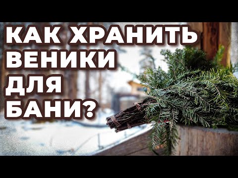 Видео: КАК ХРАНИТЬ ВЕНИКИ для бани: берёзовые, дубовые, пихтовые и веники из трав. ЛУЧШИЕ способы хранения!