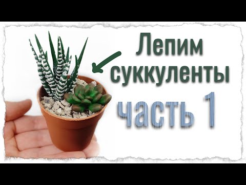 Видео: Как слепить суккуленты из полимерной глины / Мастер класс/ Часть 1