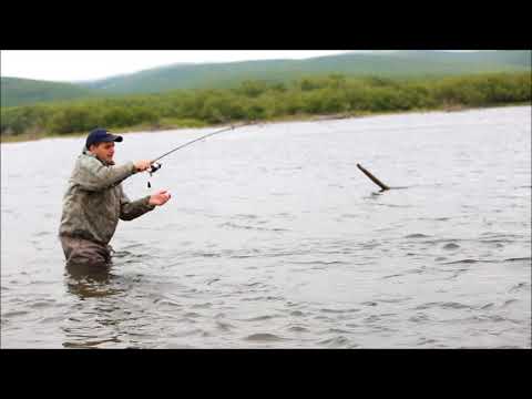 Видео: Максимовка июнь 2018
