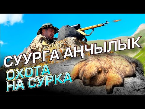 Видео: Суурга аңчылык / Ысык-Көл