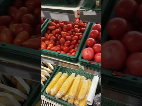 Видео: 8 октября 2025 г.