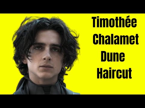 Видео: Стрижка Тимоти Шаламе «Дюна» - TheSalonGuy