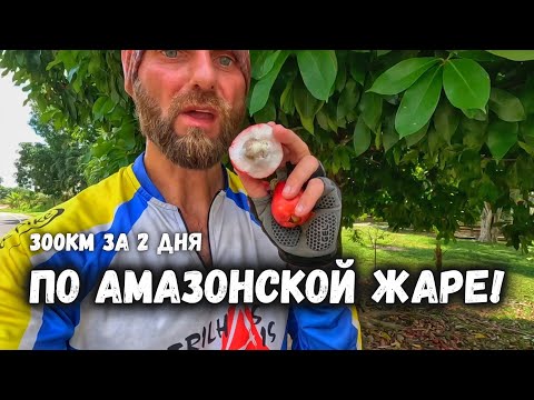 Видео: Напросился на ночлег к местным. Вся Бразилия на велосипеде. ✓110