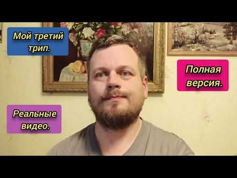 Видео: Третий Трип, МУХОМОР. Реальные кадры. Полная версия. #осознанность  #мухомор #трип #пробуждение