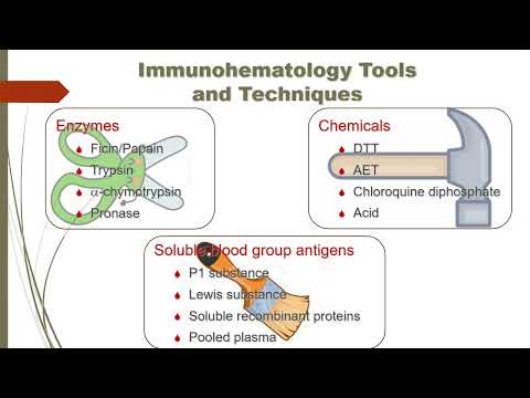 Видео: Jill Storry  "Путь к разрешению проблемы: поэтапный подход к панреактивным образцам»