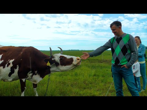 Видео: Сельская жизнь в Литве!