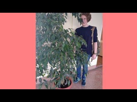 Видео: МАРГОЛДИН УДАЛЕННЫЕ ТИКТОКИ//ПОЛМАТЕРИ УДАЛЕННЫЕ ТИКТОКИ//АБДРАШИТОВ УДАЛЕННЫЕ ТИКТОКИ