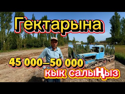 Видео: «Гектарына 45 000–50 000 кг кык салыңыз.»