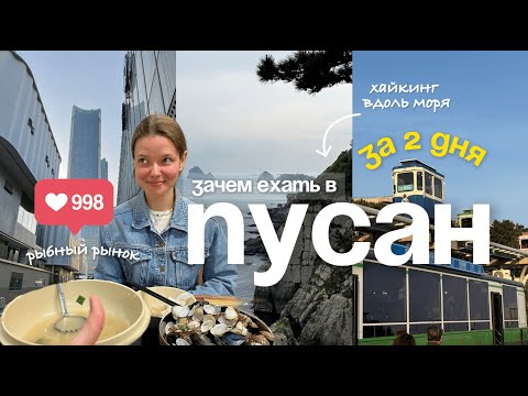 Видео: 2 дня в Пусане ШОК: храм на скале, самый вкусный суп в Корее, хайкинг вдоль побережья | Влог