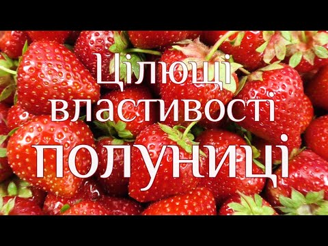 Видео: Цілющі властивості полуниці