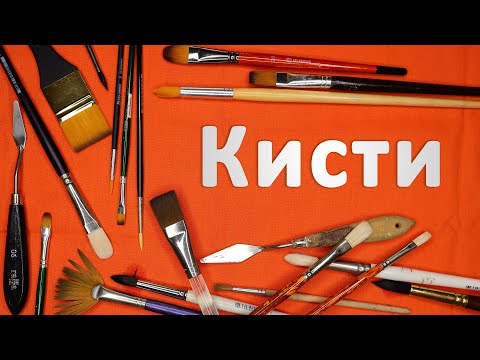 Видео: Кисти. Какие кисти нужны для разных красок. На что нужно обращать внимание при покупке