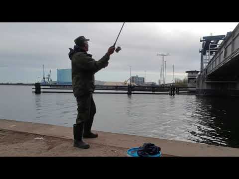 Видео: Ловля селёдки на самодур