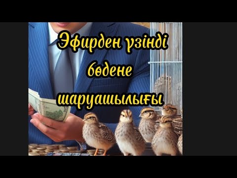 Видео: Бөдене шаруашылығы. Бөдене бизнесі.