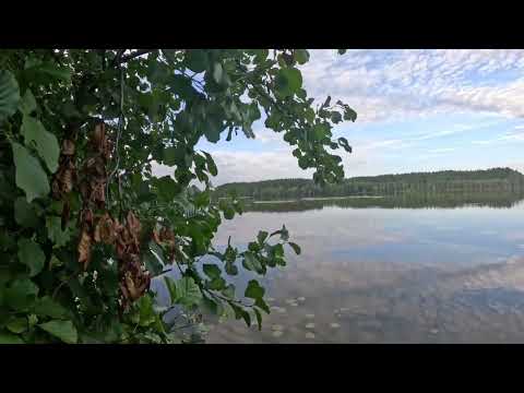 Видео: Кукозеро  в Шоле. Над водой и под водой.