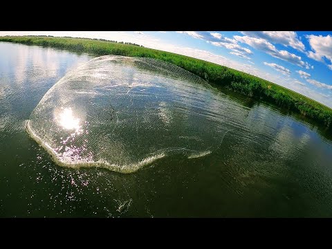 Видео: Рыбалка кастинговую сетью. Вечёрка сильно порадовала. Рыбалка 2021.