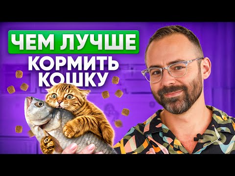 Видео: 5 критериев, чтобы выбрать лучший корм для вашей кошки
