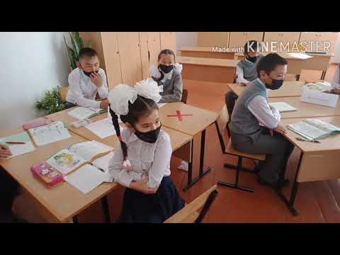 Видео: 4 сынып Дүниетану | Жасанды ортадағы қауіп қатер | Карденова Турсынай