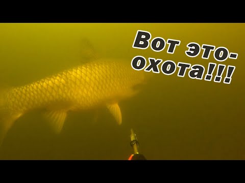 Видео: НИ ОДНОГО ПРОМАХА!!! ВОТ ЭТО ОХОТА!!!