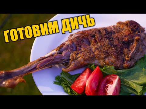 Видео: ГОТОВИМ ДИЧЬ! Нога дикой козы / косули в фольге на мангале. Рецепт🔥🔥🔥