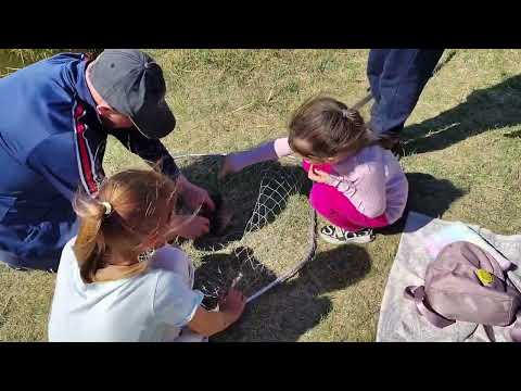 Видео: Невероятный день на рыбалке: поймали карпа