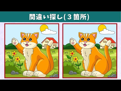 Видео: Найдите 3 отличия | Иллюстрация Версия #1028