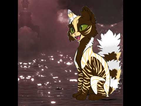 Видео: Я не сдержалась и сделала реакцию на @честер_не_сью #реакция #Сью #котывоители #новыйформат #реки