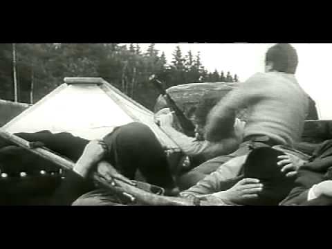 Видео: Лесные братья.avi