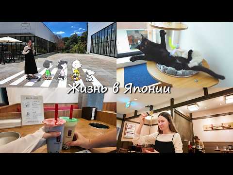 Видео: Кошачьи домашние дела | Прогулка с подругой [Япония Влог]