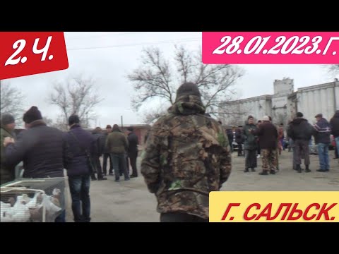 Видео: 2.ч. Голуби - Выставка Ярмарка. Г. Сальск. Ростовская. обл. 28.01.2023.г. 🎥🇷🇺🕊️