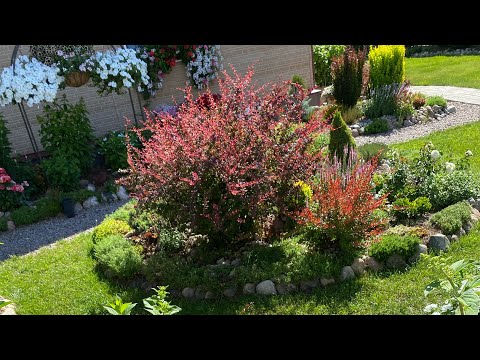 Видео: Мой маленький ЦВЕТУЩИЙ ДВОРИК🏡🧚‍♀️🌸🦋🌸🐝🌺🌿🌺🌳👩‍🌾