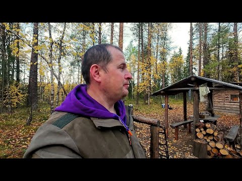 Видео: Осенний жор щуки на таёжной реке. Поставили жерлицы и сразу поклёвки!