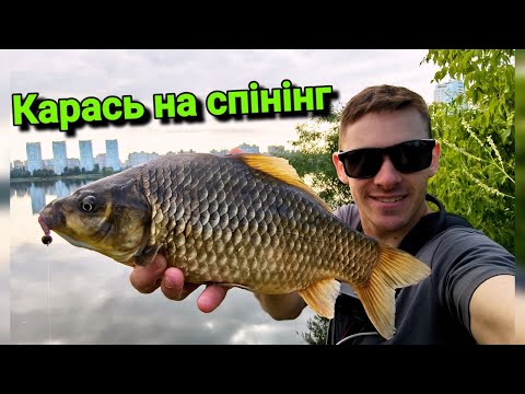 Видео: Карасі ГІГАНТИ клюють в Києві на мікроджиг. ✅