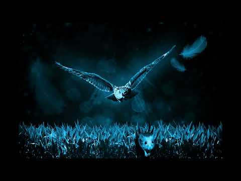 Видео: ВЫСОКОЧАСТОТНЫЙ ЗВУК ПРОТИВ ГРЫЗУНОВ. Неприятный звук для мышей.