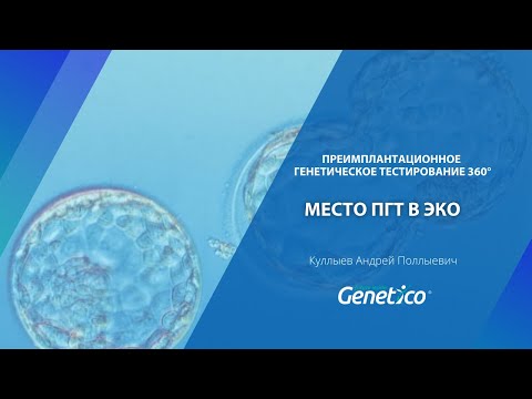 Видео: А. Куллыев - Место ПГТ в ЭКО