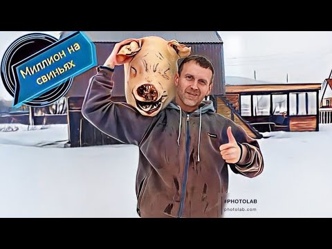 Видео: ‼️Забой на 714 кг мясом‼️Сколько заработал‼️