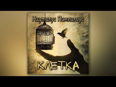 Видео: Наутилус Помпилиус - Клетка (кавер)