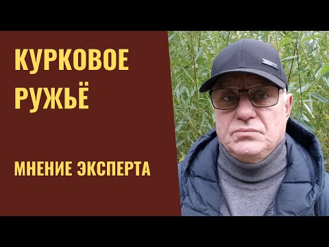 Видео: КУРКОВОЕ РУЖЬЁ (мнение эксперта)