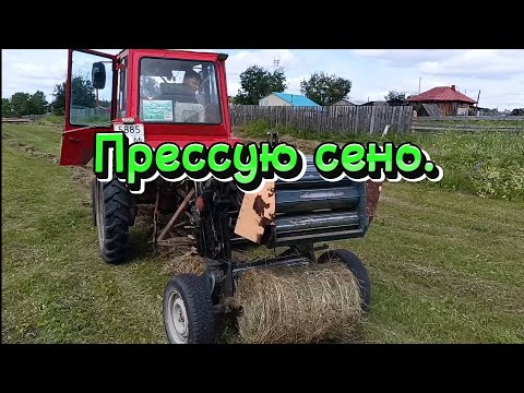 Видео: Прессую сено, разговоры про воровство....