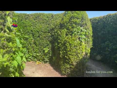 Видео: 1270 Лабиринт Longleat Hedge Maze