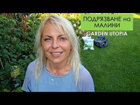 Видео: РЕЗИТБА на МАЛИНИ