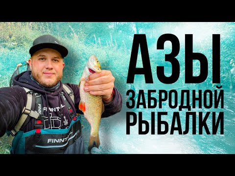 Видео: АЗЫ Забродной Рыбалки